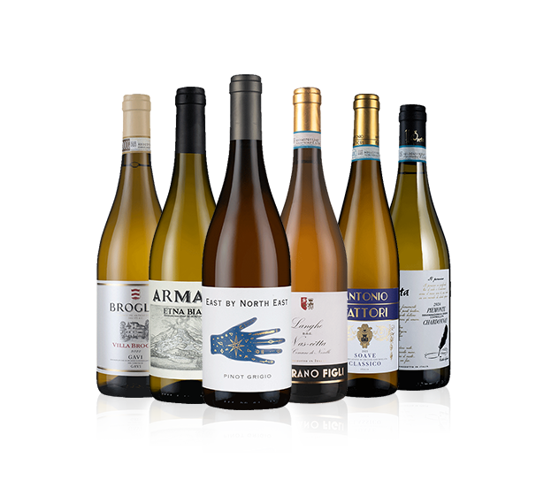 Italian Premium Whites Six Italian Premium Whites Six